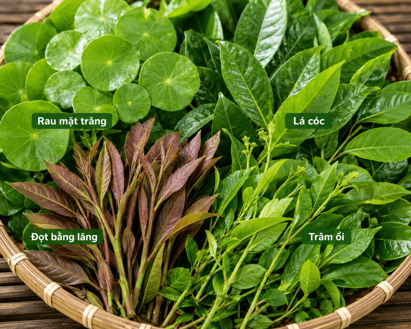 RAU RỪNG TÂY NINH